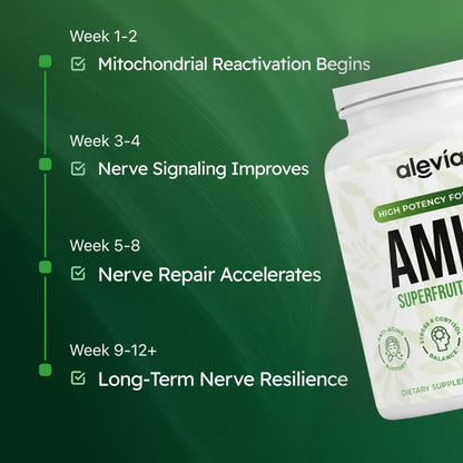 Amla routine timeline