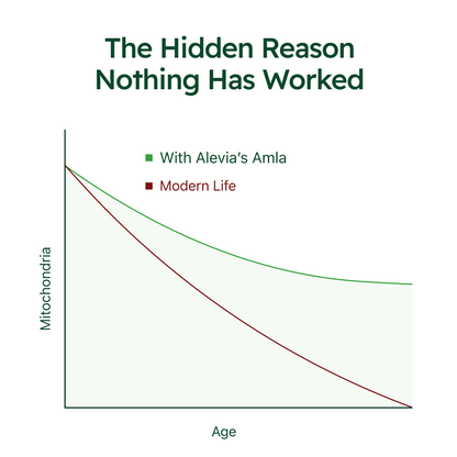 Amla and cellular energy
